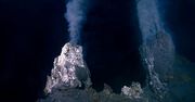Milion jaj na dnie oceanu. Odkrywcy oszołomieni wulkanem