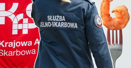 2500 zł mandatu za krewetkę. Wizyta w pizzerii to kropla w morzu działań KAS