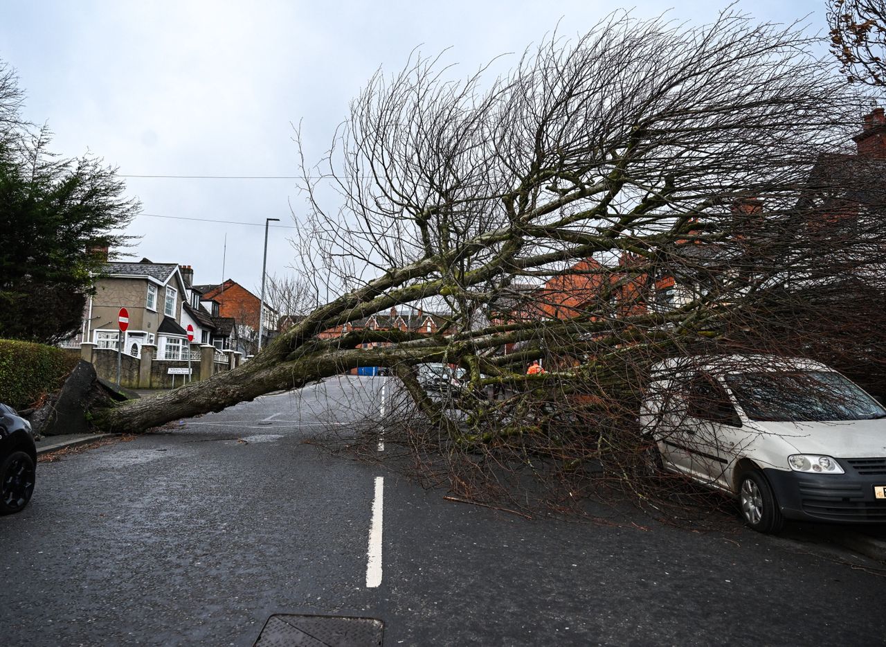 Will the Eowyn storm reach Poland? There is a response from the climatologist.