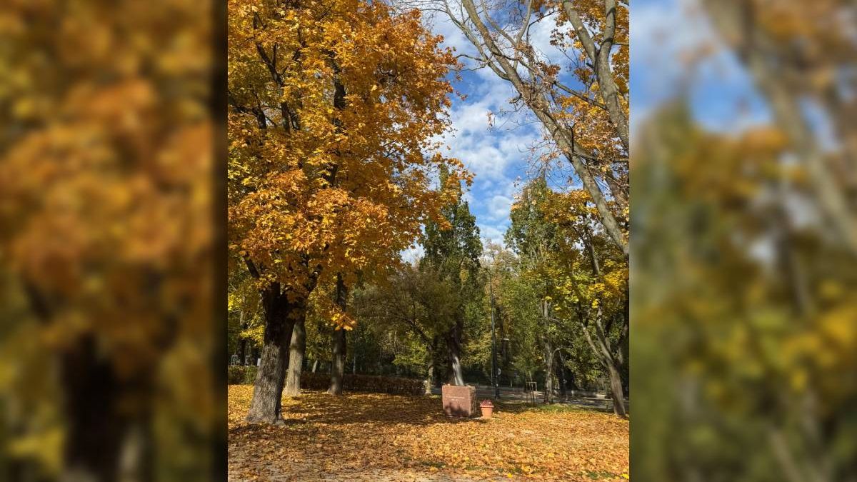 Skwer Arcybiskupa Życińskiego