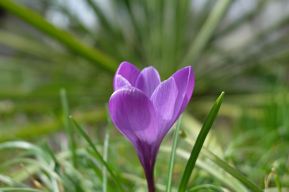 Fujifilm X-A2 - bezluzusterkowiec z matrycą APS-C w przyzwoitej cenie [test] 39