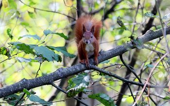 Przymrozki wracają. Rolniku, szykuj agrowłókninę na noc