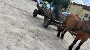 Sępopol: Woźnica miał blisko dwa promile we krwi. Koń zaczął cofać na drodze i spowodował kolizję z autem