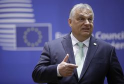 "Miejsce Ukrainy jest w NATO". Orban skomentował jednym słowem