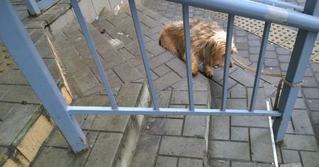 Niedopuszczalne przed sklepem. Kara dla przyłapanych jest dotkliwa