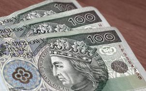 Polacy nie wiedzą, jak aplikować o Fundusze Europejskie na lokalne projekty