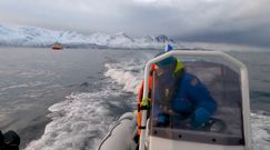Niezapomniane spotkanie. Z orkami po wodach Arktyki