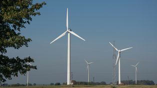 Kiedy wiatraki produkują najwięcej prądu? Nieoczywista odpowiedź