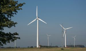 Kiedy wiatraki produkują najwięcej prądu? Nieoczywista odpowiedź