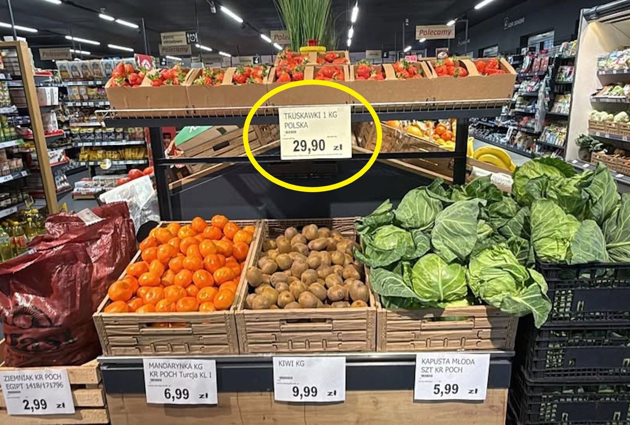 Lewiatan sprzedaje polskie truskawki. Oto cena