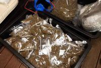 Śląskie. Wpadł diler narkotyków. Wartość przejętego towaru to kilka milionów złotych