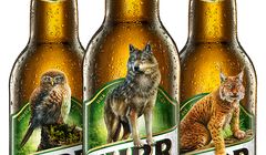 Wizerunek Żubra znika z etykiet piwa w ramach akcji na rzecz ochrony zagrożonych gatunków zwierząt