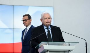 Poseł od Hołowni punktuje PiS. "Nie nadają się do rządzenia"