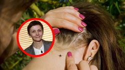 GIS ostrzega, już są aktywne. Przenoszą groźne choroby. "Mamy zgłoszenia ukąszeń"