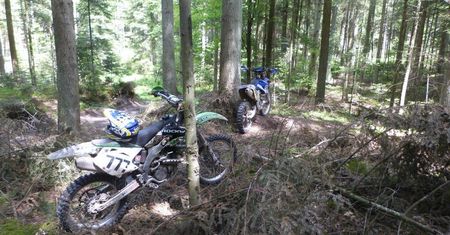 Jaki jest mandat za jazdę motocyklem crossowym lub quadem po lesie?