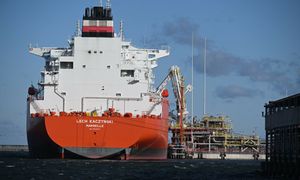 Rekordowe rok dla polskich portów. Oto co napędza wyniki