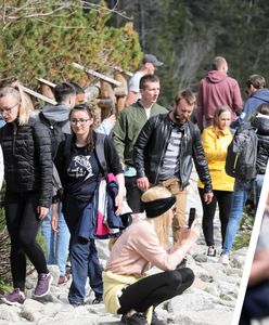 Ekolodzy zablokują drogę do Morskiego Oka? Chodzi nie tylko o konie