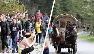 Ekolodzy zablokują drogę do Morskiego Oka? Chodzi nie tylko o konie