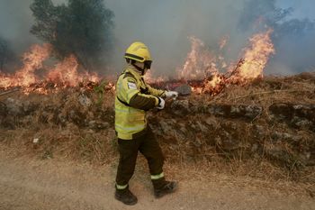 Portugalia walczy z ogniem. Mowa o ponad 100 pożarach