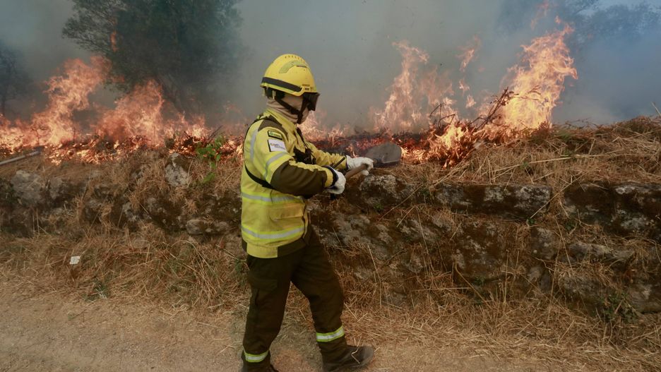 Forest fire in Portugal
epa12273277 A firefighter battles a fire in the village of Santa Comba, Seia, Portugal, 30 July 2025. The fire, which broke out in the municipality of Seia, Guarda district, is being fought by 180 operatives, 54 vehicles and three aerial vehicles.  EPA/MIGUEL PEREIRA DA SILVA 
Dostawca: PAP/EPA.
MIGUEL PEREIRA DA SILVA
fire, forest fire, wildfire