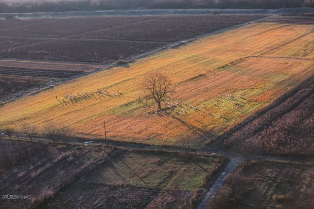 Jego przygoda z fotografią rozpoczęła się od zakupu Canona EOS 350D. Z aparatem w ręce rozwijał swoją pasję, poznawał coraz to ciekawszych ludzi, pracował nad rozmaitymi zleceniami, co pozwoliło mi poczuć spełnienie w tej dziedzinie oraz zakupić lepszy sprzęt.