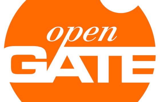 Izabela Matys stategic partner directorem w Open Gate