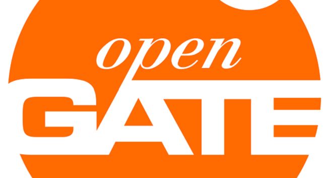 Izabela Matys stategic partner directorem w Open Gate