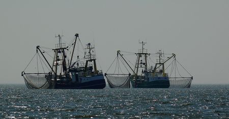 Islandczycy zablokowali Rosjan. Wymazali wyjątek bez litości