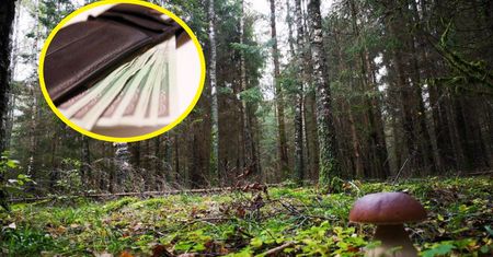 56-latek wracał z grzybów, znalazł portfel. Finał? Grozi mu więzienie
