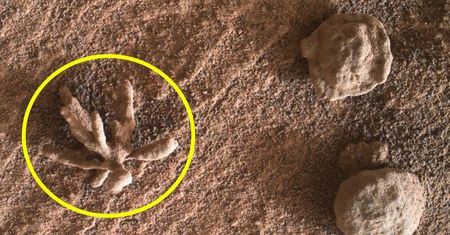 NASA. Zaskakujący widok na Marsie. Już wiadomo, co sfotografował Curiosity