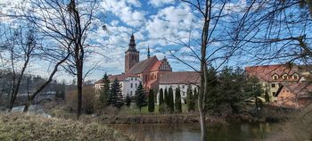 Lidzbark Warmiński: Artystka maluje przystanki i szkoły