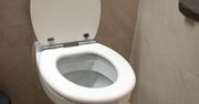 Nie używaj takiego papieru toaletowego. Proktolog ostrzega