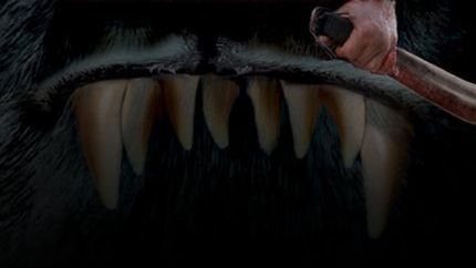 Lol dnia: Rambo kontra bestia 1