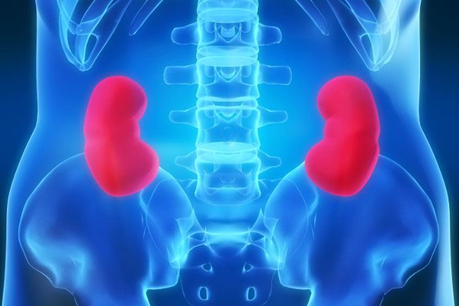 Zbadano nową terapię w leczeniu raka przerzutowego nerek