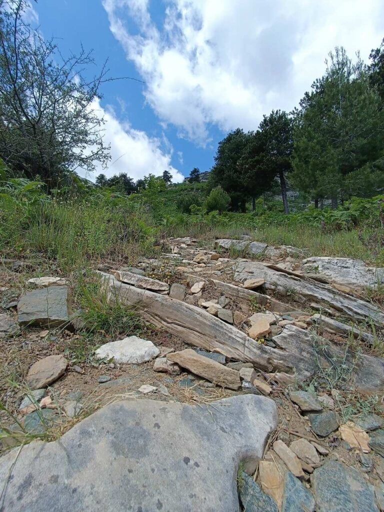 Thassos Ipsarion