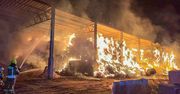 Słońsk: 27-latek podpalił halę. Straty oszacowano na 800 tys. zł