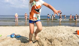 Bon turystyczny nie tak szybko. Senat zamierza zgłosić poprawki