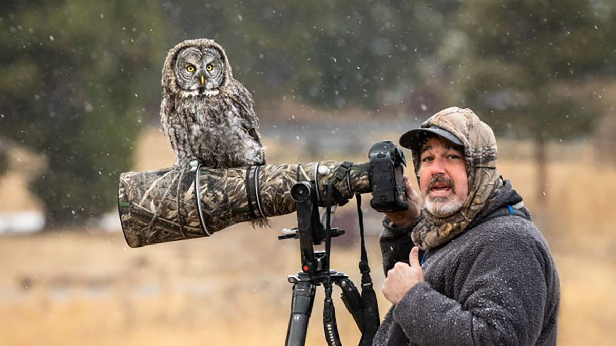 Poszedł fotografować puszczyki. Jeden z nich usiadł na jego obiektywie 1