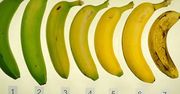 Jaki banan jest najzdrowszy? Eksperci rozwiali wszelkie wątpliwości