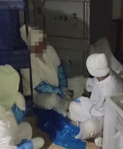 Pracownicy w pojemnikach na mięso. Co się stało w Małopolsce?