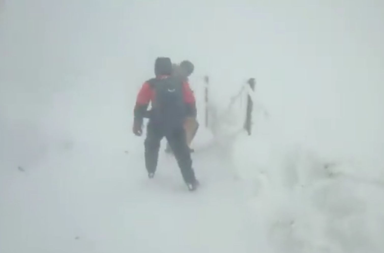 Lekkomyślni turyści na Śnieżce. Konieczna była interwencja ratowników