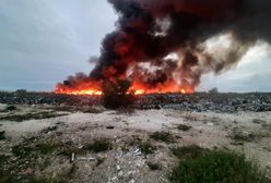 Pożar nielegalnego składowiska odpadów na Dolnym Śląsku. Gromadzono tam odpady z Niemiec i Anglii