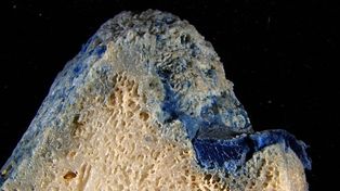 Okinawa: "plastikorale" znalezione na plażach. Plastik wtopił się w rafę