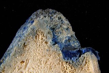 "Plastikorale" na plażach Okinawy. Plastik zrósł się z martwą rafą