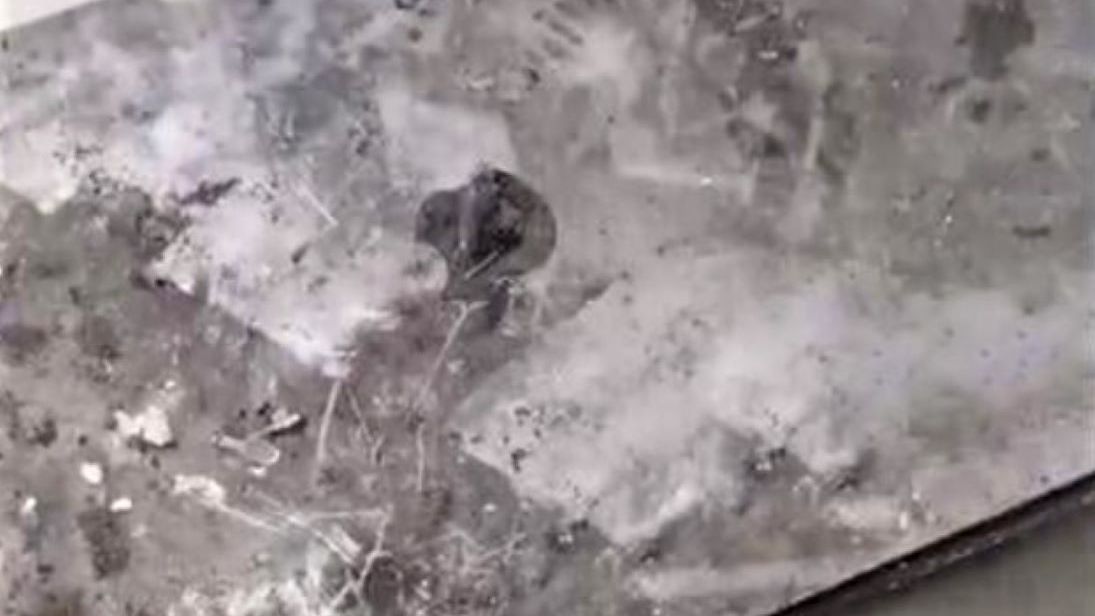 Rosjanin włożył do kamizelki kuloodpornej MacBooka 