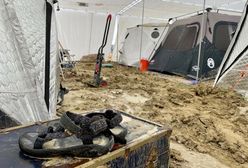 USA: 70 tys. imprezowiczów uwięzionych na pustyni. Nowe doniesienia o sytuacji