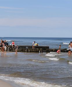 Sinice w nadbałtyckich kąpieliskach. Na jednym jest niebezpieczne