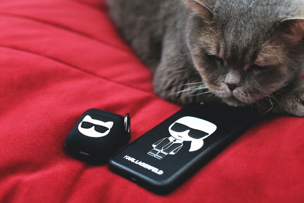 Karl Lagerfeld - marka dla lubiących luksus na co dzień