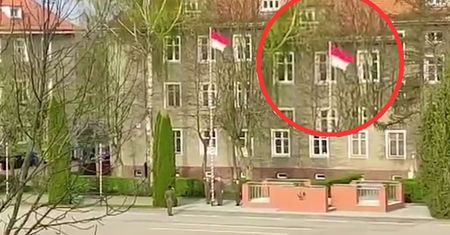 "Ona stoi i do tego salutuje". Nagranie obiegło internet