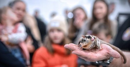 Lublin na weekend 16-18 lutego 2024 r. Co się będzie działo? TOP 7 WYDARZEŃ